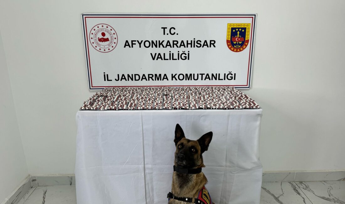 Afyonkarahisar İl Jandarma Komutanlığı Kaçakçılık ve Organize Suçlarla Mücadele Şube