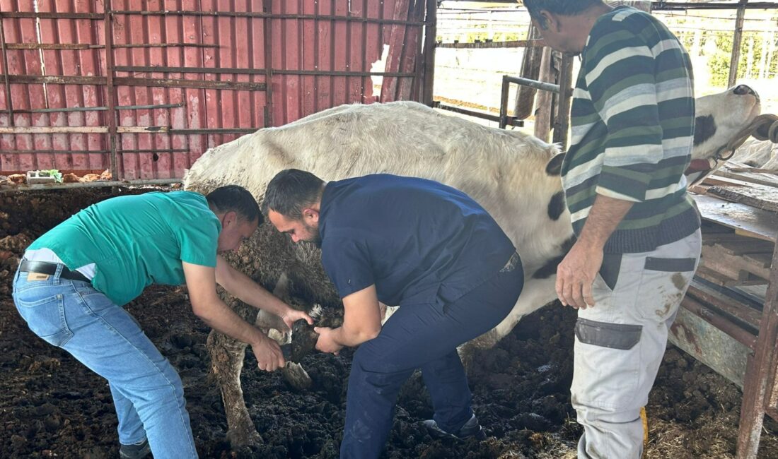 Antalya Büyükşehir Belediyesi selden etkilenen ilçelerde mağdur olan vatandaşların yaralarını