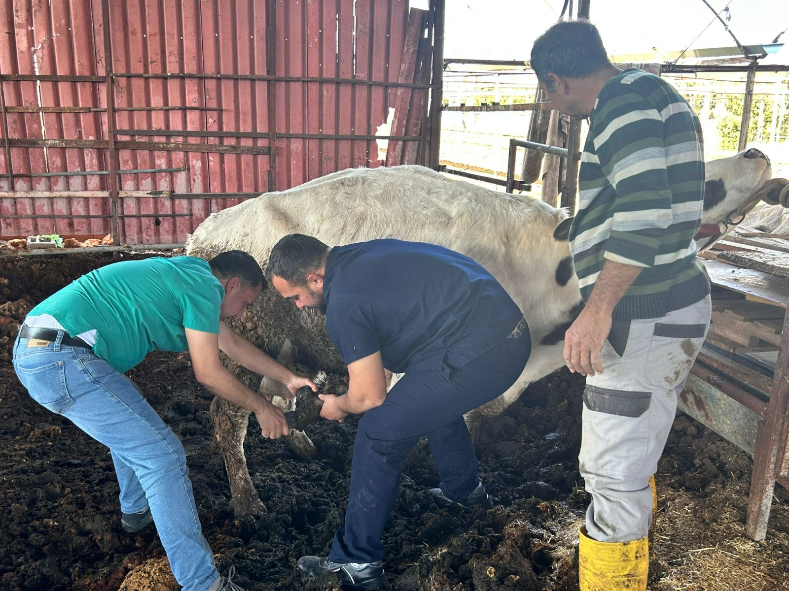 Antalya Büyükşehir Belediyesi selden etkilenen ilçelerde mağdur olan vatandaşların yaralarını