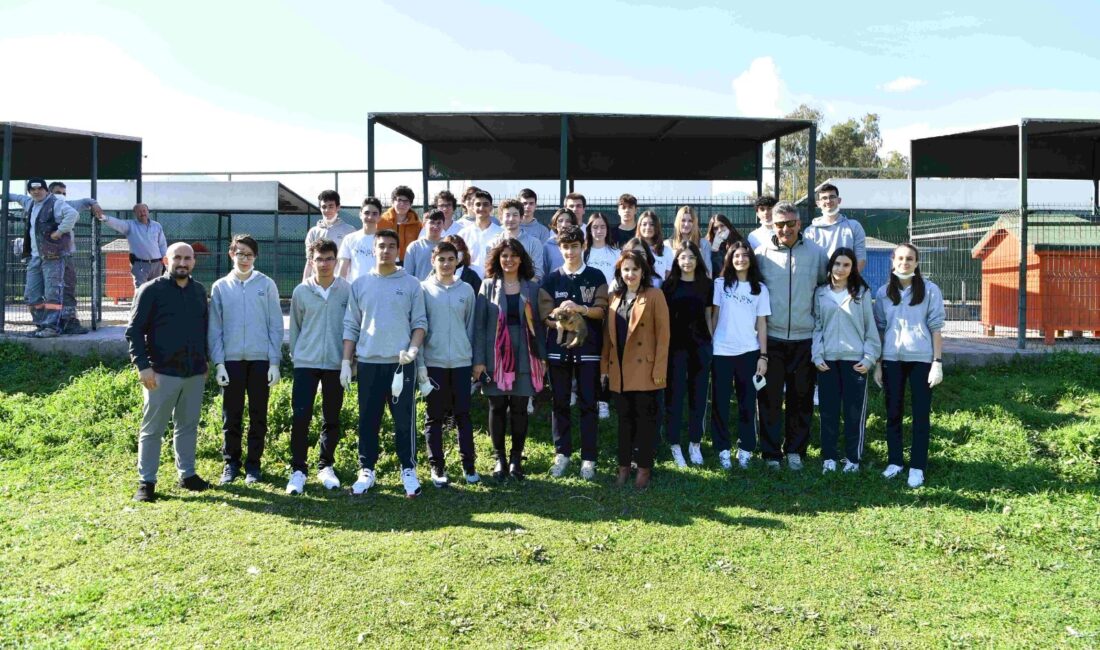 Konyaaltı Belediyesi Sokak Hayvanları Sağlık ve Rehabilitasyon Merkezi’nde bulunan sokak