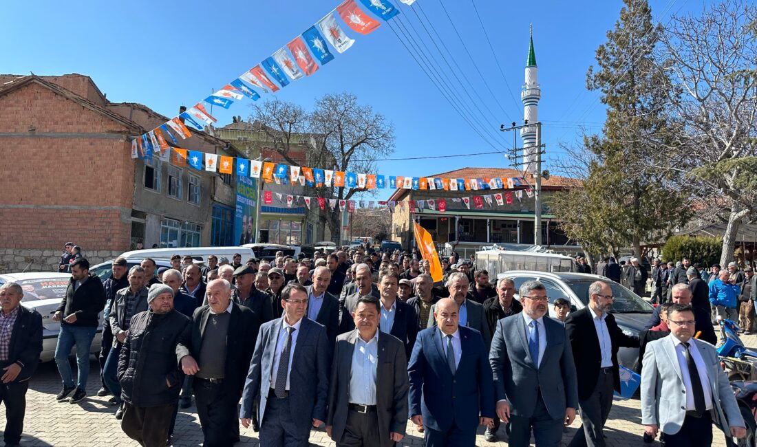 AK Parti Afyonkarahisar Milletvekili Ali Özkaya, 31 Mart Yerel Seçimleri