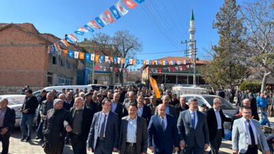 AK Parti Afyonkarahisar Milletvekili Ali Özkaya, 31 Mart Yerel Seçimleri