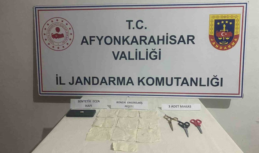 AFYONKARAHİSAR’DA PEÇETEYE EMDİRİLMİŞ BONZAİ YAKALANDI