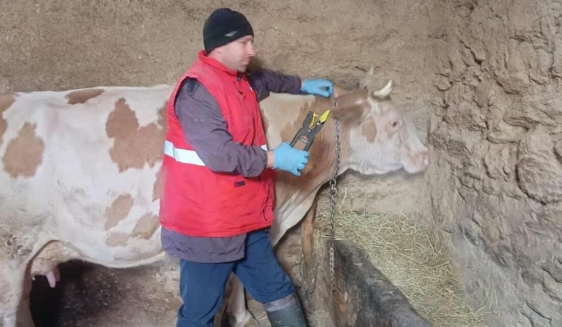 AFYONKARAHİSAR TARIM VE ORMAN İL MÜDÜRLÜĞÜ EKİPLERİ, ÜRETİCİ İŞLETMELERİ ZİYARET