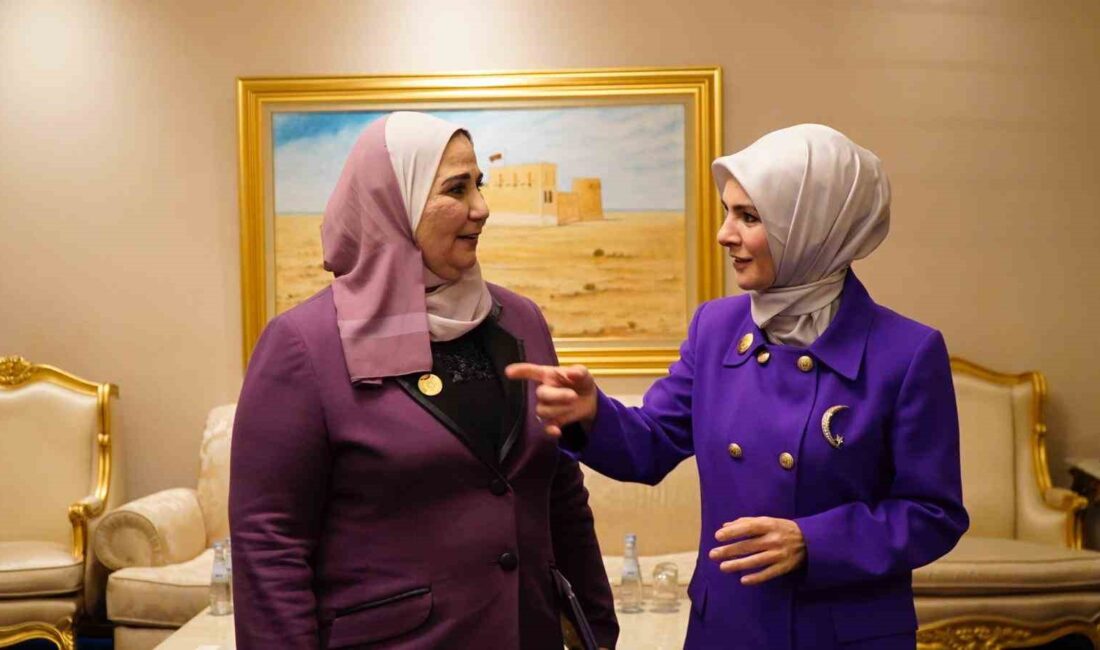 AİLE VE SOSYAL HİZMETLER BAKANI GÖKTAŞ, MISIR SOSYAL DAYANIŞMA BAKANI
