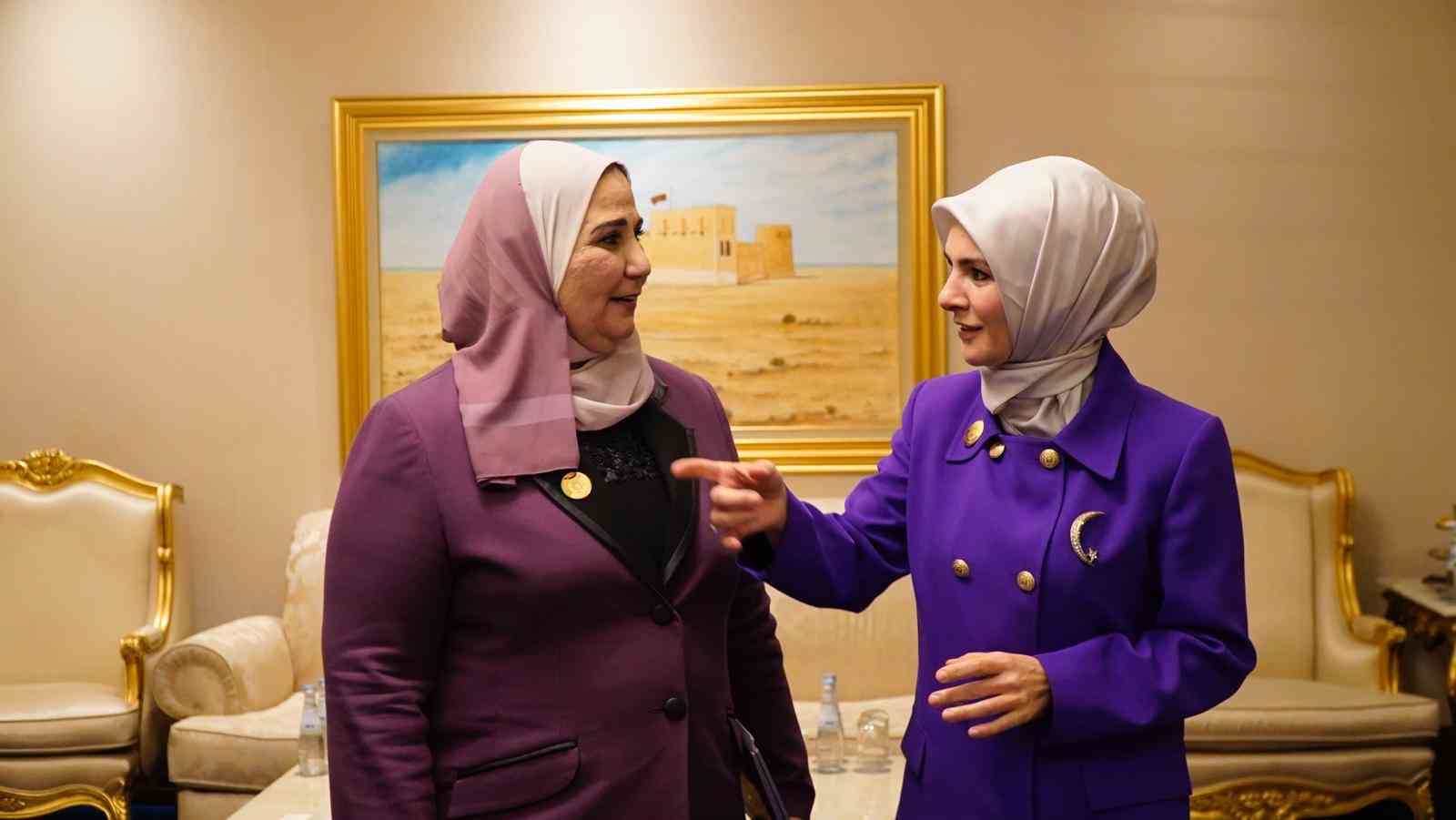AİLE VE SOSYAL HİZMETLER BAKANI GÖKTAŞ, MISIR SOSYAL DAYANIŞMA BAKANI