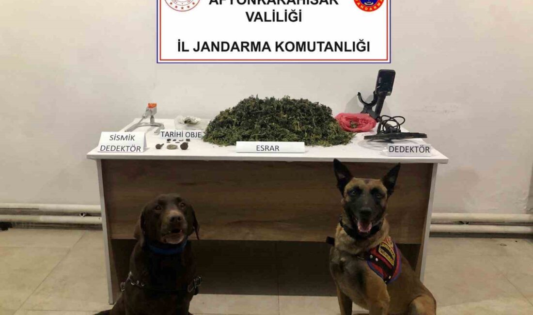 AFYONKARAHİSAR’DA CEZAEVİNDE OLAN AKRABALARININ BIRAKTIĞI İŞİ DEVAM ETTİRMEK İSTEYEN ZEHİR