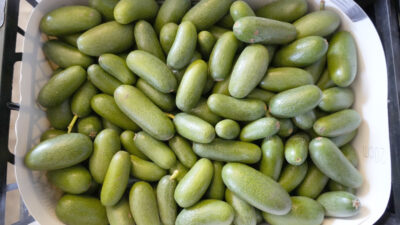 Antalya’da sebze ve meyve komisyonculuğu yapan Tahsin Yılmaz, hasadının en