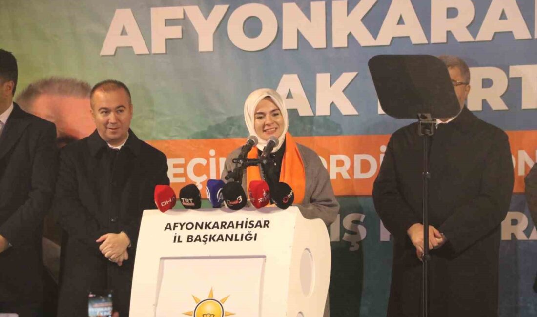 AİLE VE SOSYAL HİZMETLER BAKANI MAHİNUR ÖZDEMİR GÖKTAŞ, AK PARTİ