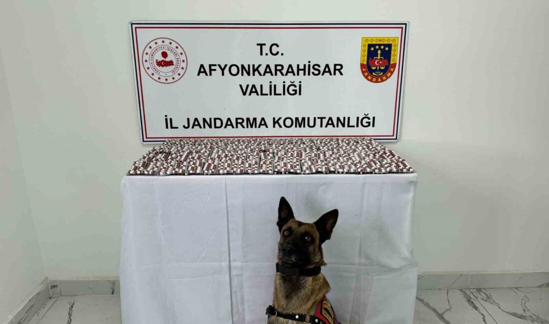 İZMİR’DEN AFYONKARAHİSAR’A UYUŞTURUCU MADDE GETİRİRKEN YOL KONTROLÜNDE ŞÜPHE ÜZERİNE DURDURULAN