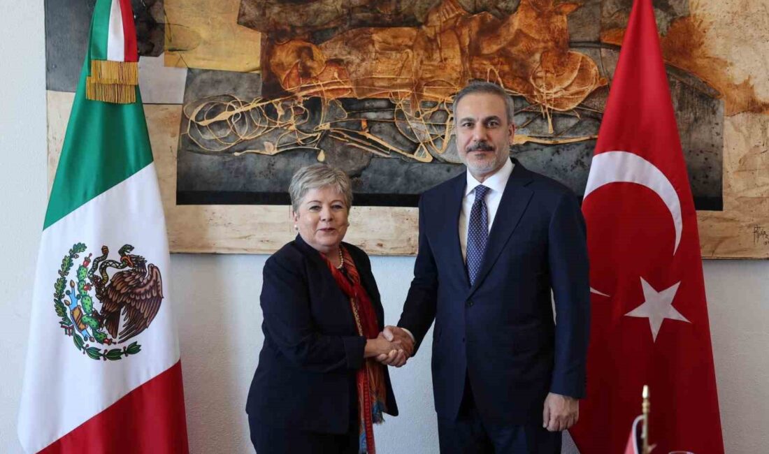 DIŞİŞLERİ BAKANI FİDAN, MEKSİKALI MEVKİDAŞI ALİCİA BÁRCENA IBARRA İLE GÖRÜŞTÜ
