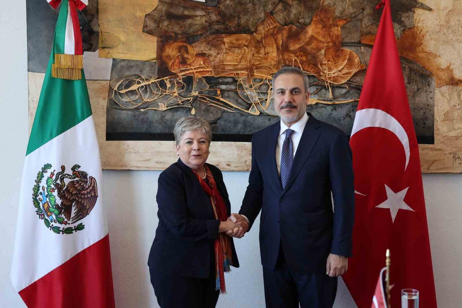 DIŞİŞLERİ BAKANI FİDAN, MEKSİKALI MEVKİDAŞI ALİCİA BÁRCENA IBARRA İLE GÖRÜŞTÜ