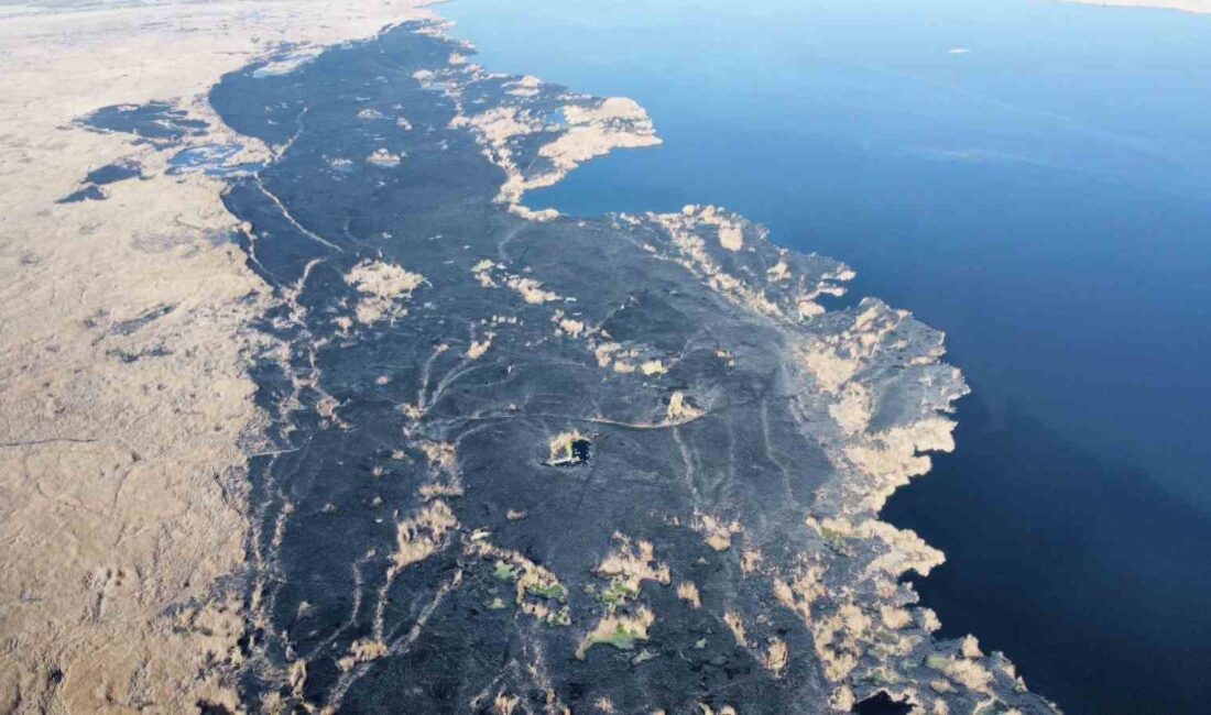 Eber Gölü’nün Afyonkarahisar’ın Çay ilçesi sınırlarında kalan bölümündeki sazlık alanda