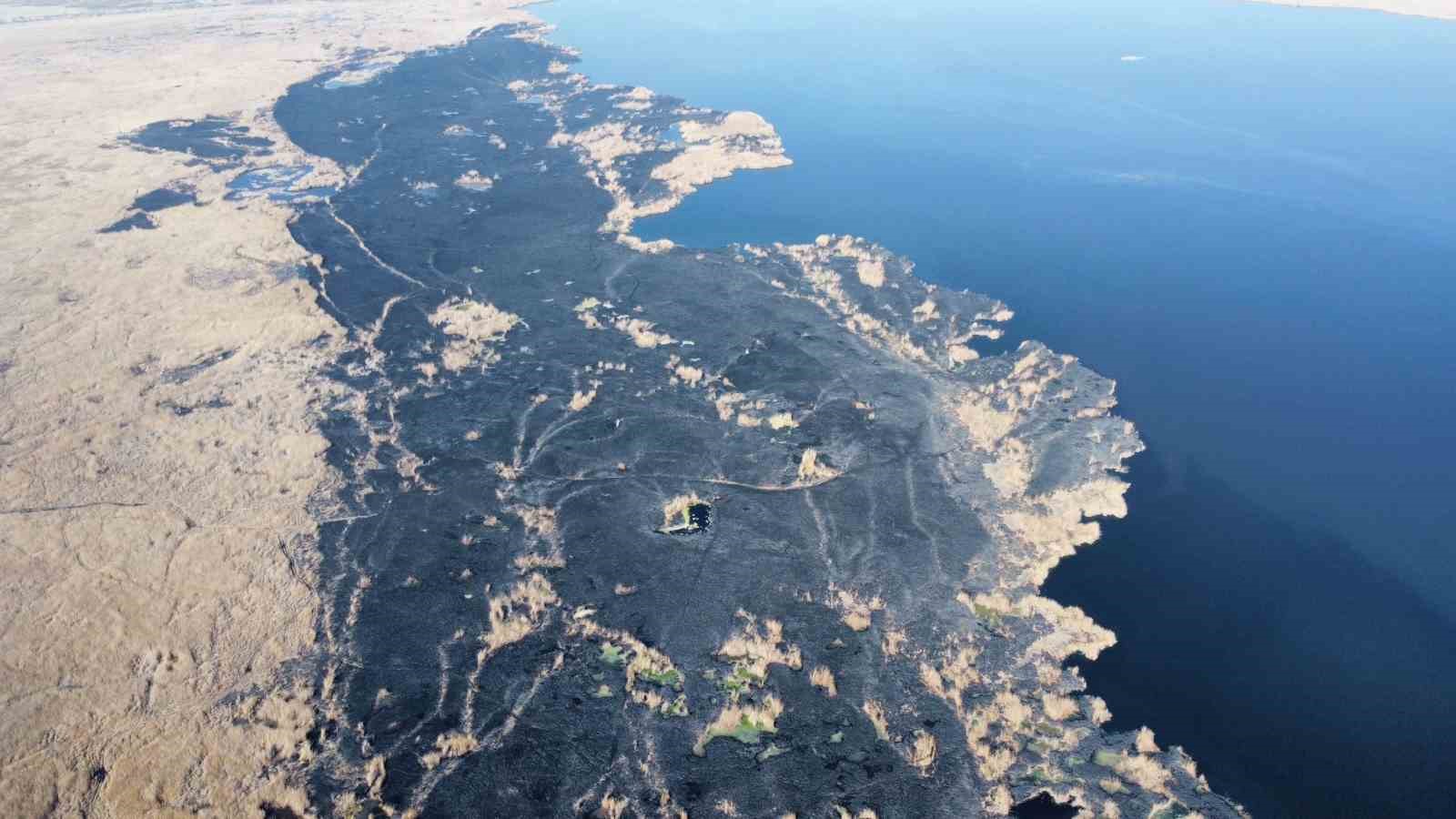 Eber Gölü’nün Afyonkarahisar’ın Çay ilçesi sınırlarında kalan bölümündeki sazlık alanda