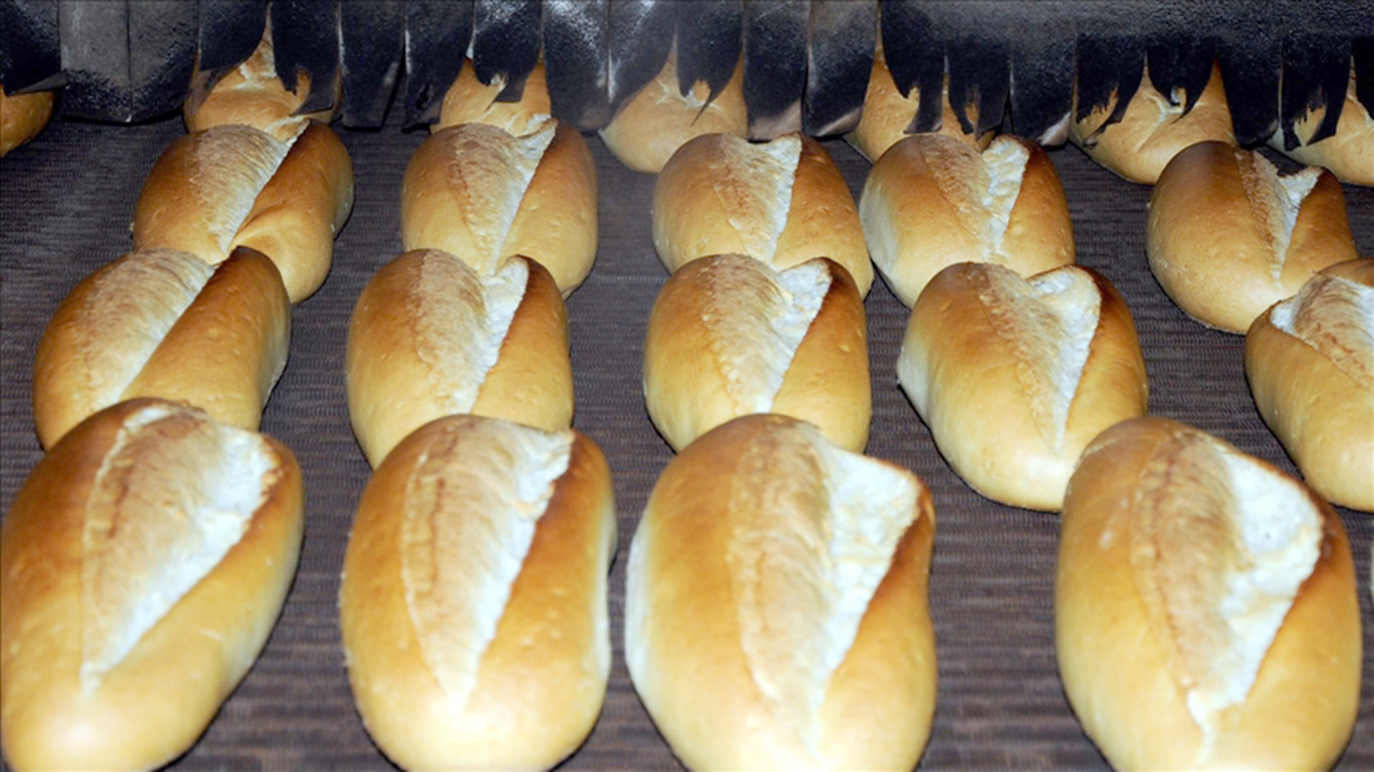   Erzurum’da imzalanan protokolle Tarım Kredi Kooperatif Marketler’de ekmek 4