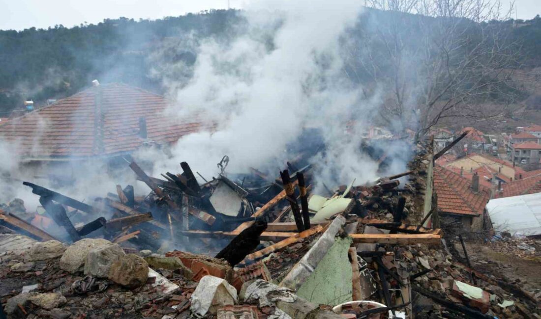 Afyonkarahisar’ın Hocalar ilçesinde 29 hayvanın telef olduğu yangının boyutu, gün