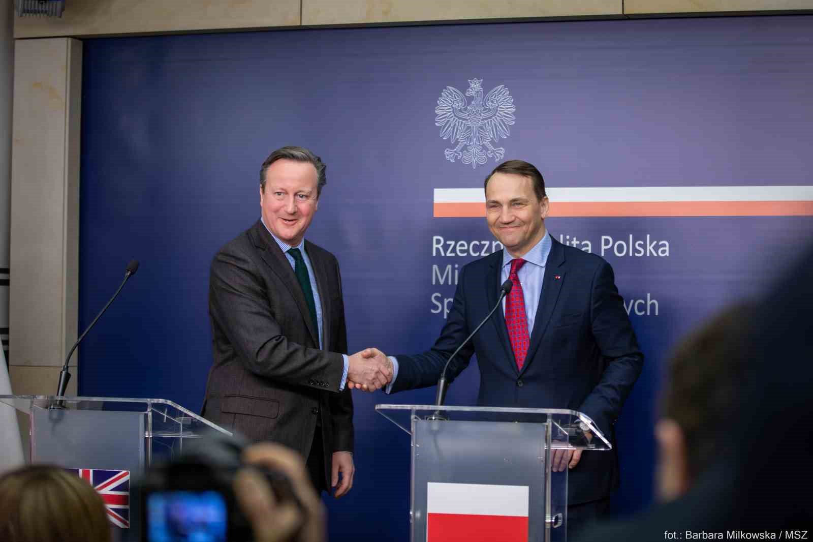 İNGİLTERE DIŞİŞLERİ DAVİD CAMERON, UKRAYNA'YA YARDIM PAKETİ KONUSUNDA ABD'NİN İKNA