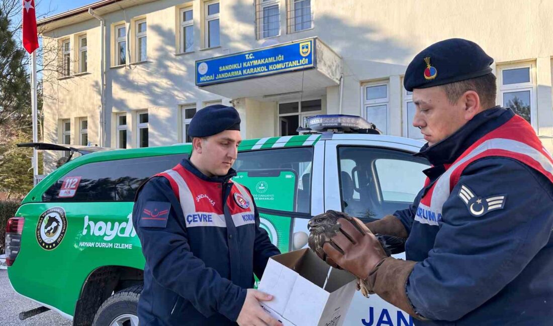 AFYONKARAHİSAR’IN SANDIKLI İLÇESİNDE DEVRİYE GEZEN JANDARMA EKİPLERİ TARAFINDAN YARALI HALDE