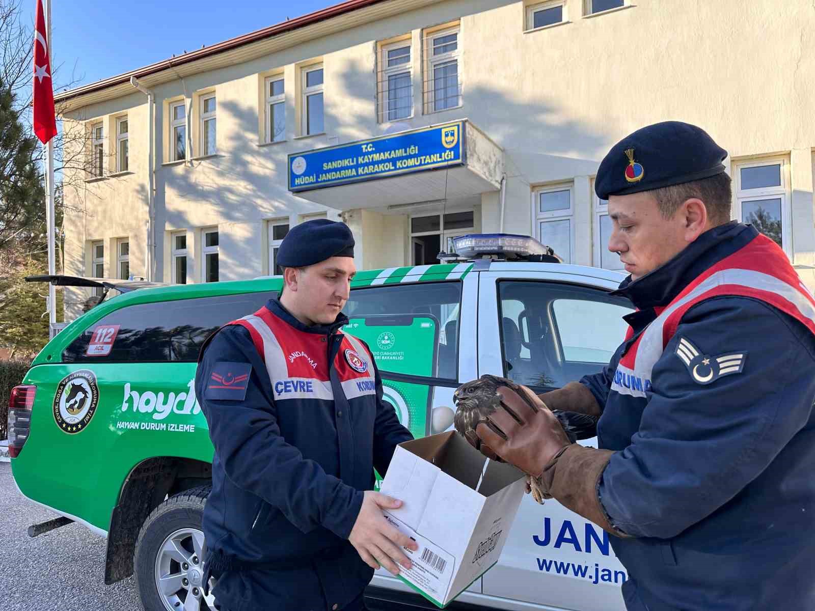 AFYONKARAHİSAR’IN SANDIKLI İLÇESİNDE DEVRİYE GEZEN JANDARMA EKİPLERİ TARAFINDAN YARALI HALDE