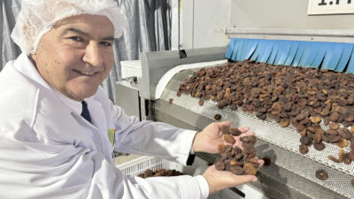 Türkiye’nin kuru meyve ihracatının yüzde 60’ını tek başına gerçekleştiren Ege