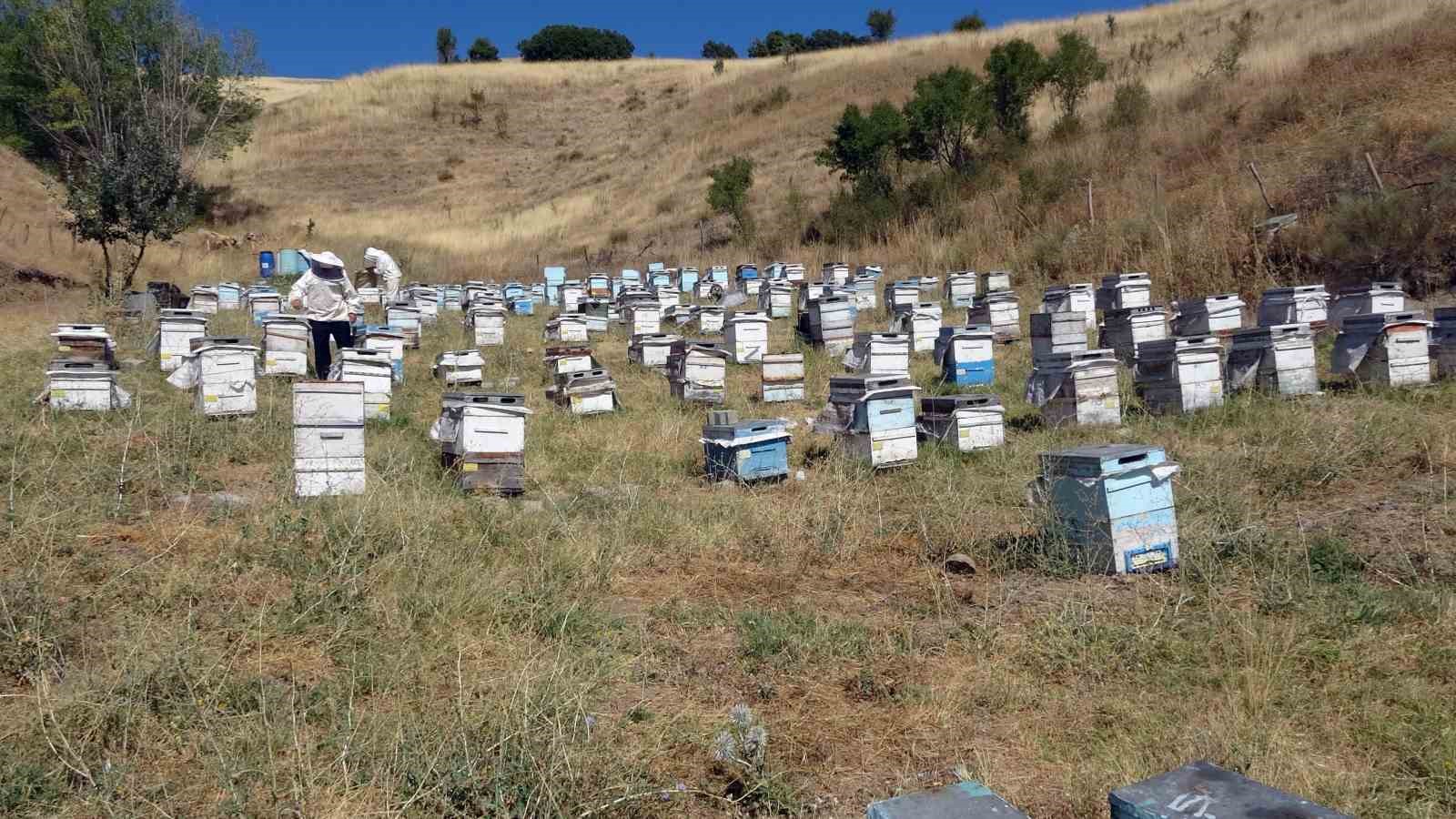 Son yıllarda akaryakıta yapılan zamlar nedeniyle nakliye ücretlerindeki artış gezgin