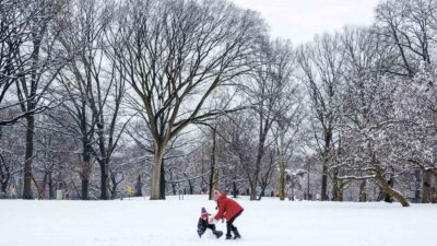 ABD'NİN NEW YORK’TA SON 2 YILIN EN FAZLA KAR YAĞIŞI