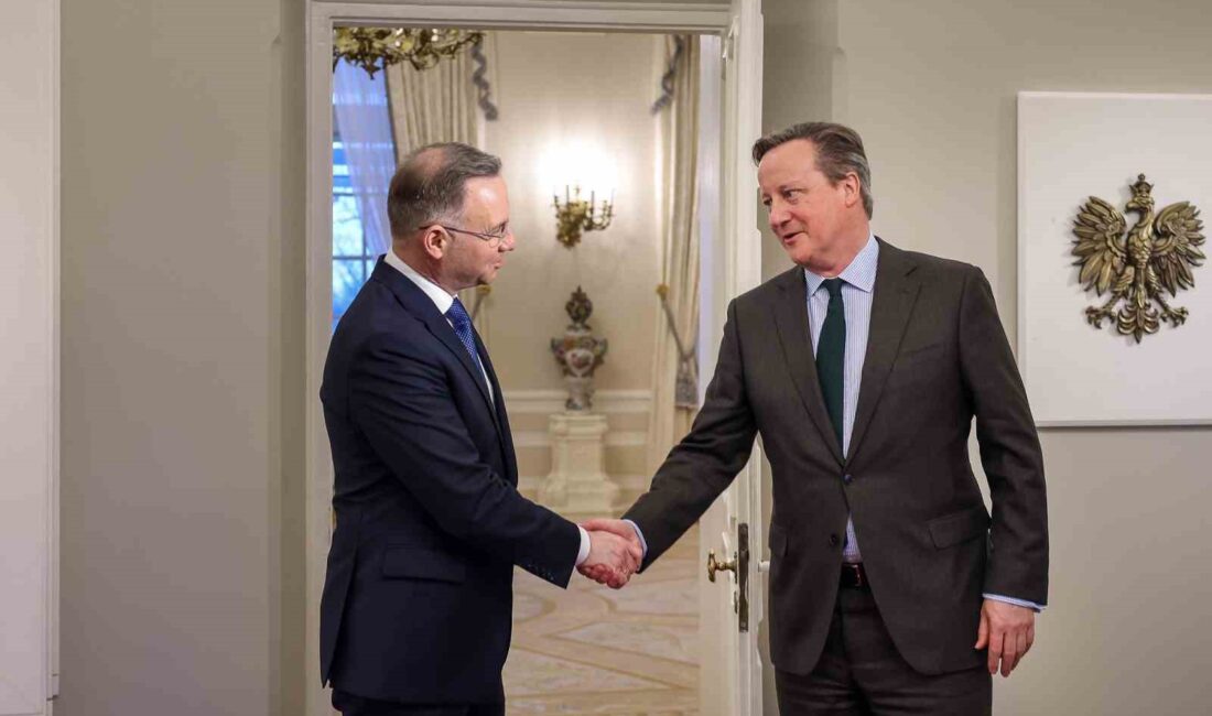 POLONYA CUMHURBAŞKANI DUDA, İNGİLTERE DIŞİŞLERİ BAKANI CAMERON'LA GÖRÜŞTÜ