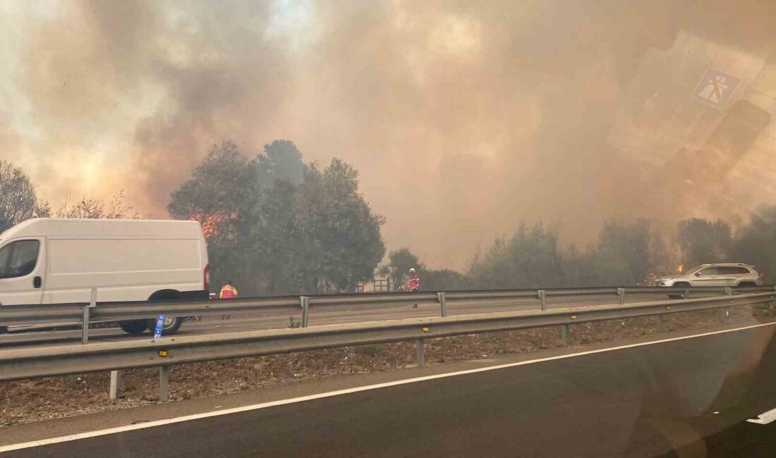 ŞİLİ'NİN ORTA VE GÜNEY KESİMİNDE ÇIKAN ORMAN YANGINLARINDA 10 KİŞİ