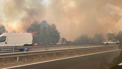 ŞİLİ'NİN ORTA VE GÜNEY KESİMİNDE ÇIKAN ORMAN YANGINLARINDA 10 KİŞİ