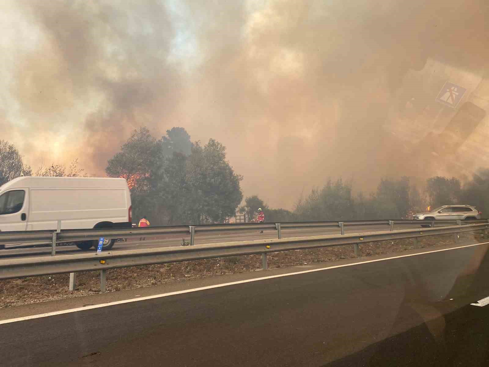 ŞİLİ'NİN ORTA VE GÜNEY KESİMİNDE ÇIKAN ORMAN YANGINLARINDA 10 KİŞİ