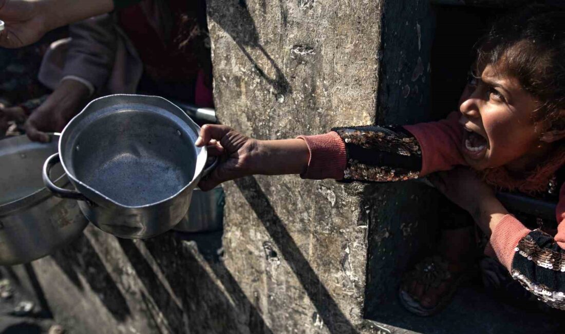 BİRLEŞMİŞ MİLLETLER ÇOCUKLARA YARDIM FONU (UNICEF), GAZZE ŞERİDİ'NİN KUZEYİNDE 2