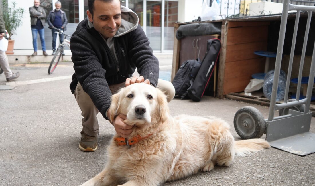 Samsun‘da bir doktor, kendisine havlayan golden cinsi köpekten korkup düşerek ayağını