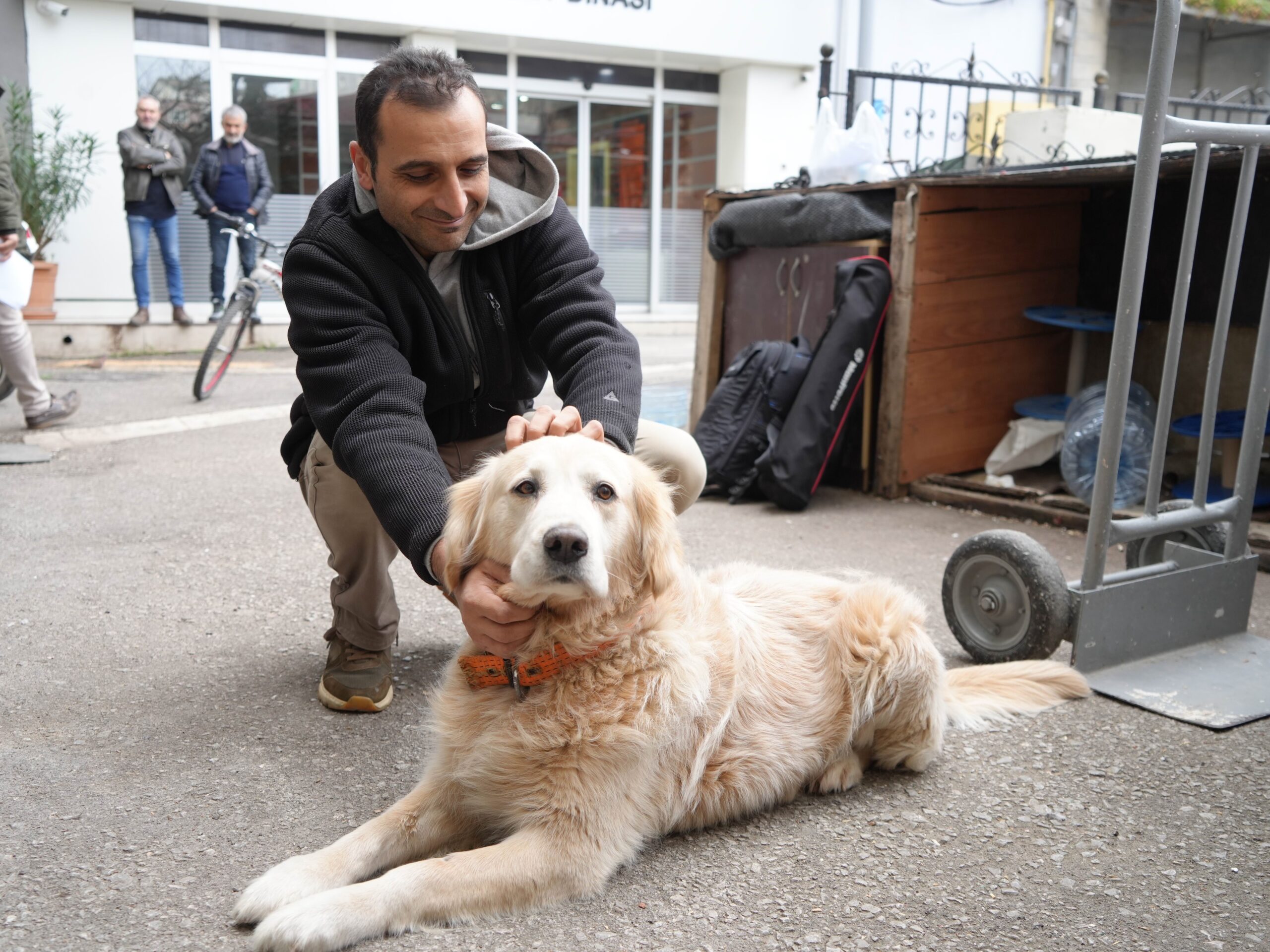 Samsun‘da bir doktor, kendisine havlayan golden cinsi köpekten korkup düşerek ayağını