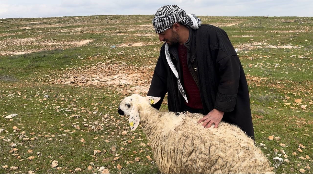 Diğer ırklardan farklı olduğu gerekçesiyle geçen aylarda koruma altına alınan