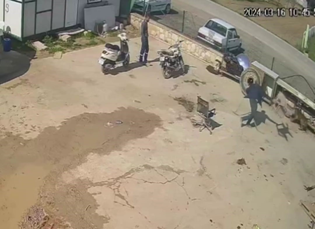 İzmir’in Urla ilçesinde, eline aldığı hortum, sandalye ve kürekle acımasızca