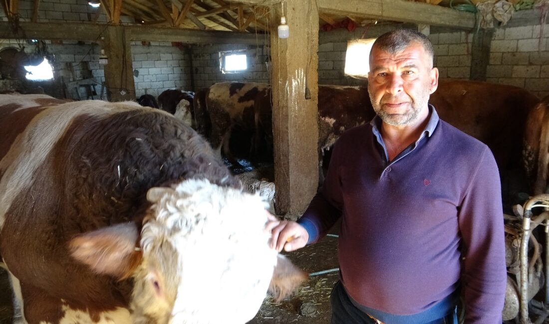 Kahramanmaraş merkezli depremlerde Malatya’nın Akçadağ ilçesindeki evi, ağılı yıkılan ve