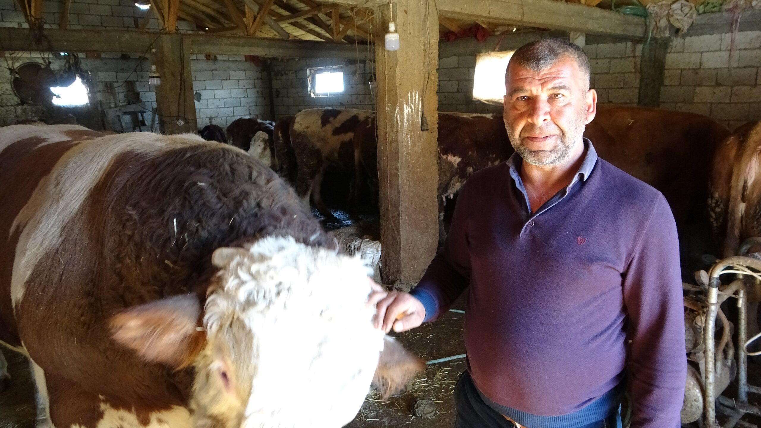 Kahramanmaraş merkezli depremlerde Malatya’nın Akçadağ ilçesindeki evi, ağılı yıkılan ve
