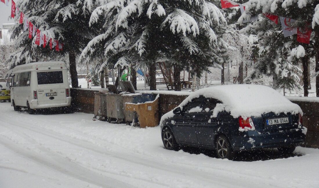 Bitlis’in Ahlat ilçesinde Mart ayında kar yağışı etkili oluyor. Meteorolojinin