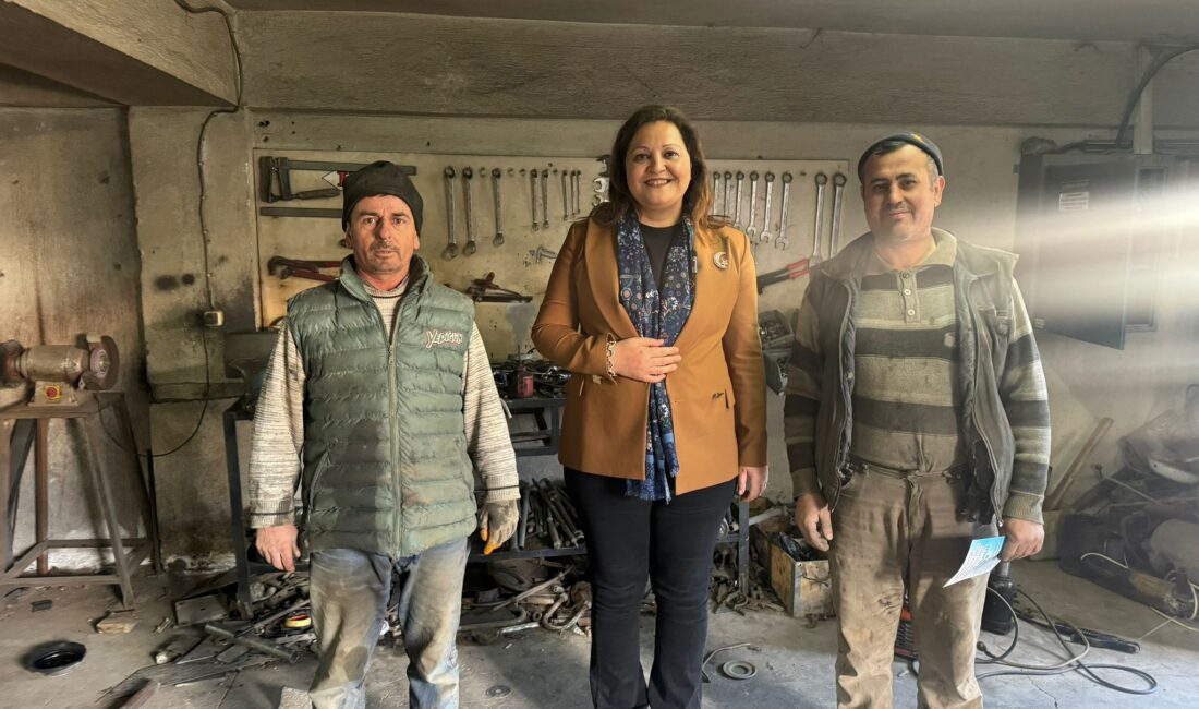 Cumhuriyet Halk Partisi (CHP) Grup Başkanvekili, Afyonkarahisar Milletvekili ve Belediye