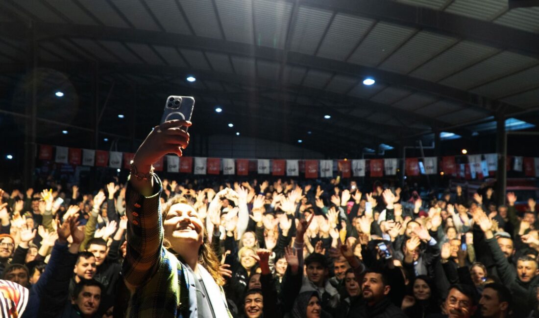 Cumhuriyet Halk Partisi (CHP) Grup Başkanvekili, Afyonkarahisar Milletvekili ve Belediye