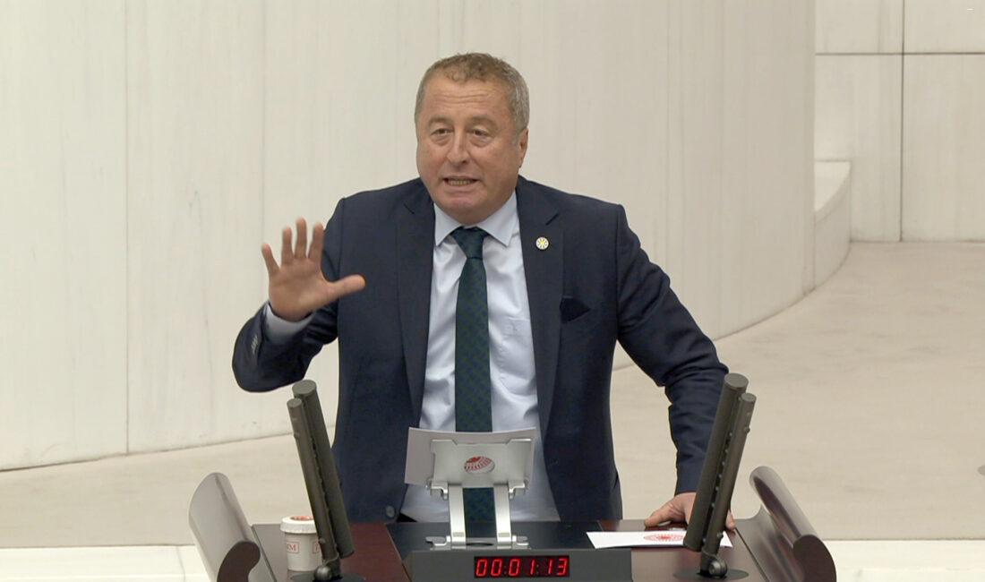 İYİ Parti Hukuk ve Seçim İşlerinden Sorumlu Genel Başkan Yardımcısı,