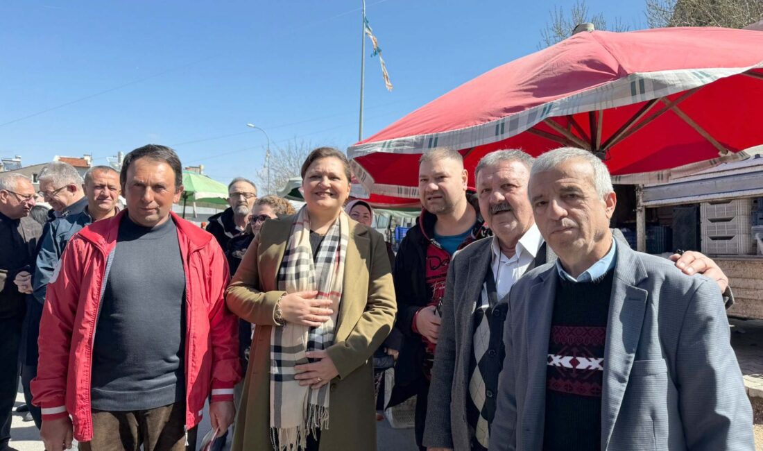 CHP Grup Başkanvekili, Afyonkarahisar Milletvekili ve Belediye Başkan Adayı Av.