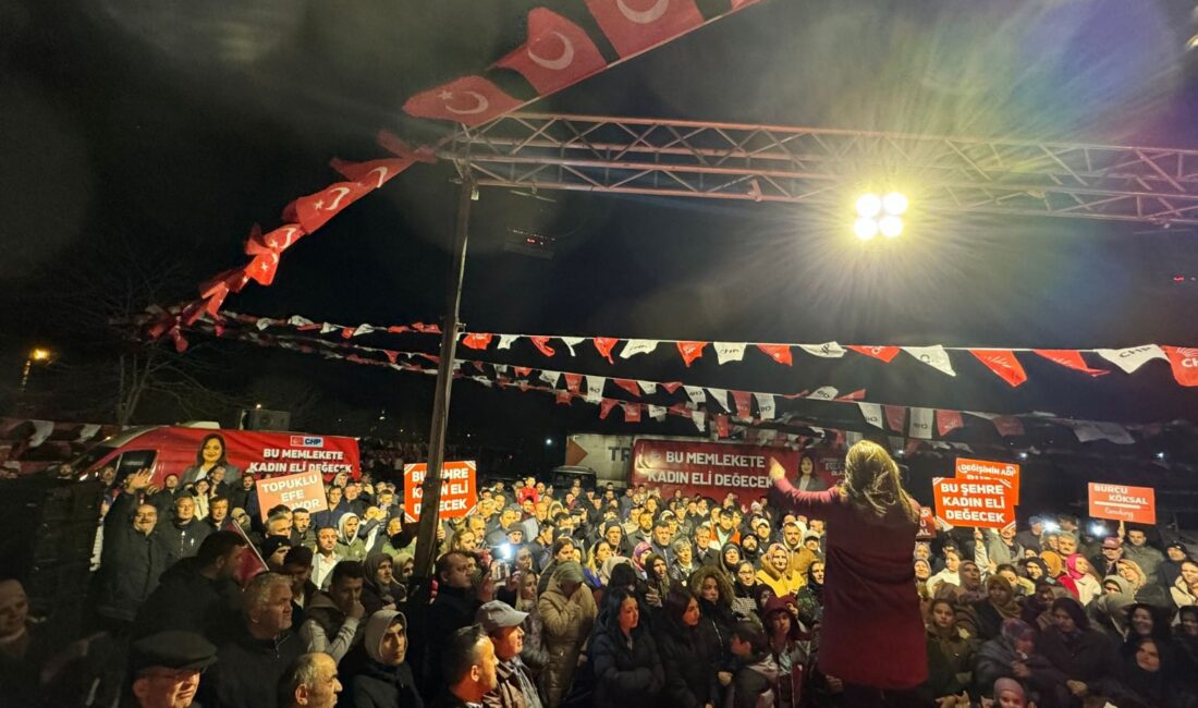 CHP Grup Başkanvekili, Afyonkarahisar Milletvekili ve Belediye Başkan Adayı Av.