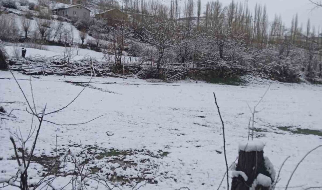 Hava sıcaklığının bir anda düştüğü Afyonkarahisar’da yağan sağanak yağmur yüksek