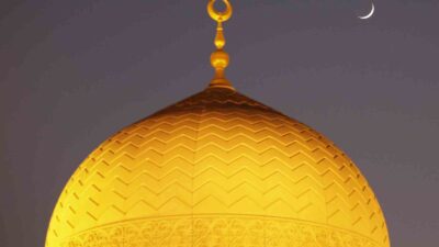 Suudi Arabistan, Yemen, Kuveyt, Bahreyn, Lübnan, Filistin, Katar ve Birleşik