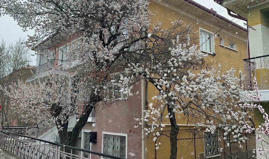 Afyonkarahisar’ın Bolvadin ilçesinde sabah saatleri itibariyle kar yağışı etkili oldu.