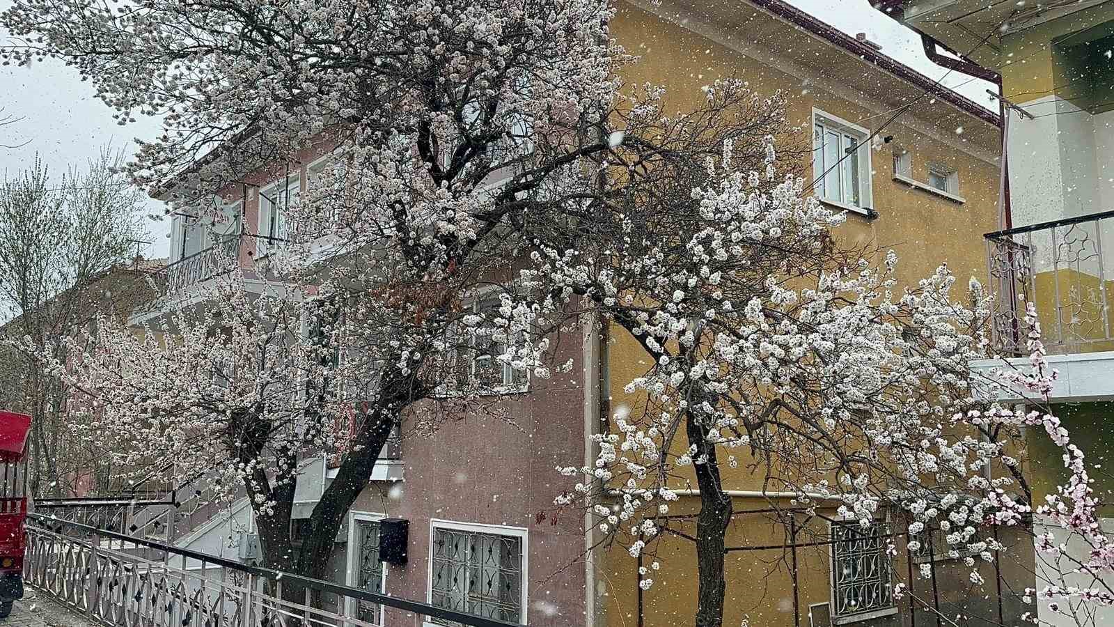 Afyonkarahisar’ın Bolvadin ilçesinde sabah saatleri itibariyle kar yağışı etkili oldu.