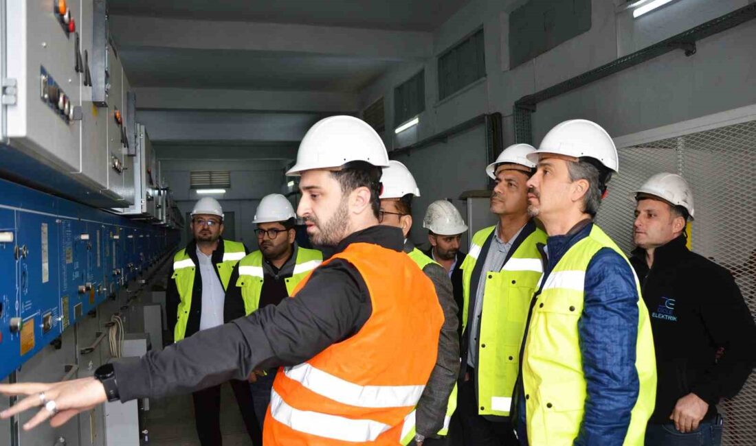 GÜNEYDOĞU ANADOLU BÖLGESİ’NDE DAĞITIM HİZMETİ VERDİĞİ 6 İLDE ENERJİ ŞEBEKESİNİ
