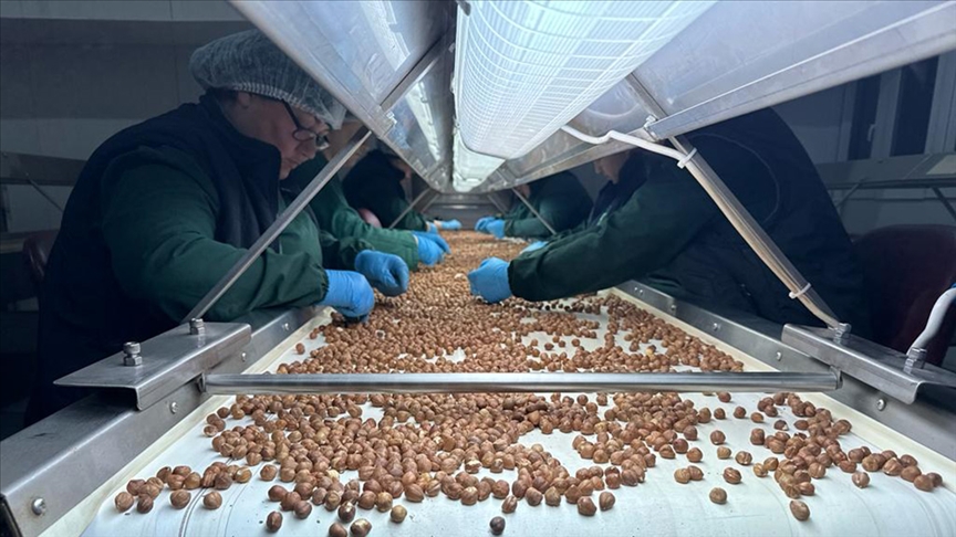 Karadeniz Fındık ve Mamulleri İhracatçıları Birliğinden yapılan yazılı açıklamada, 1