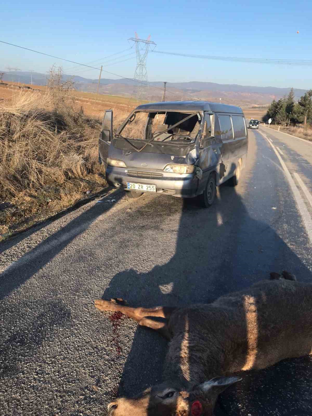 AFYONKARAHİSAR’DA ANİDEN YOLA ÇIKAN GEYİĞE ÇARPAN MİNİBÜSTEKİ 2 KİŞİ YARALANDI.